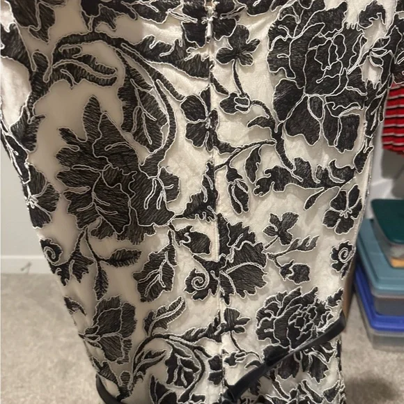 Elegant Tadashi Shoji Gown - Picture 5 of 6